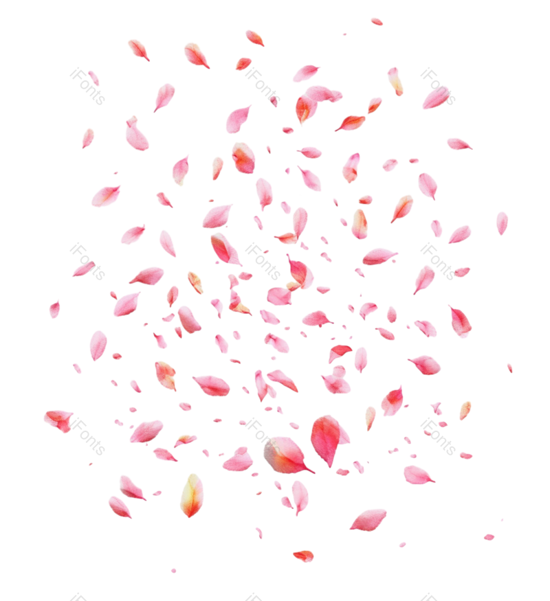元素图片,卡通元素,白色背景PNG,花瓣免抠素材